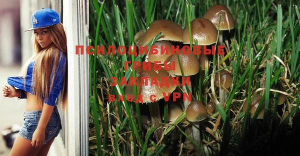 Альфа ПВП Алзамай