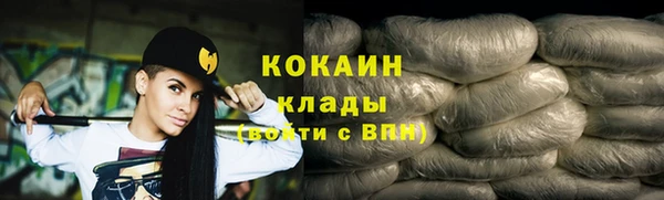 шишки Алексин