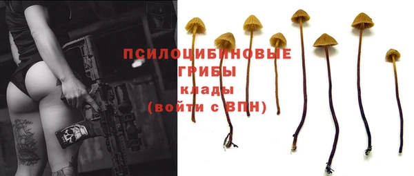 Альфа ПВП Алзамай