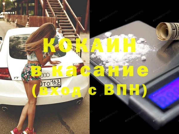 шишки Алексин